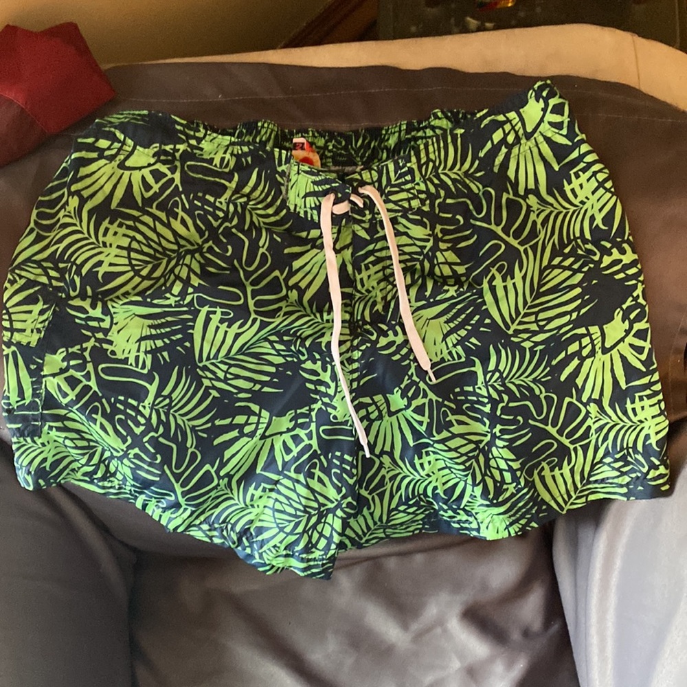 🌹NWOT Ray Sun blue& green board shorts, size 2X🌹